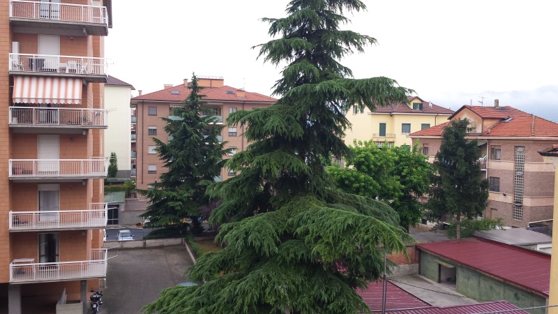 Affitto Appartamento In Acqui Terme Affitto Appartamento In Acqui Terme
